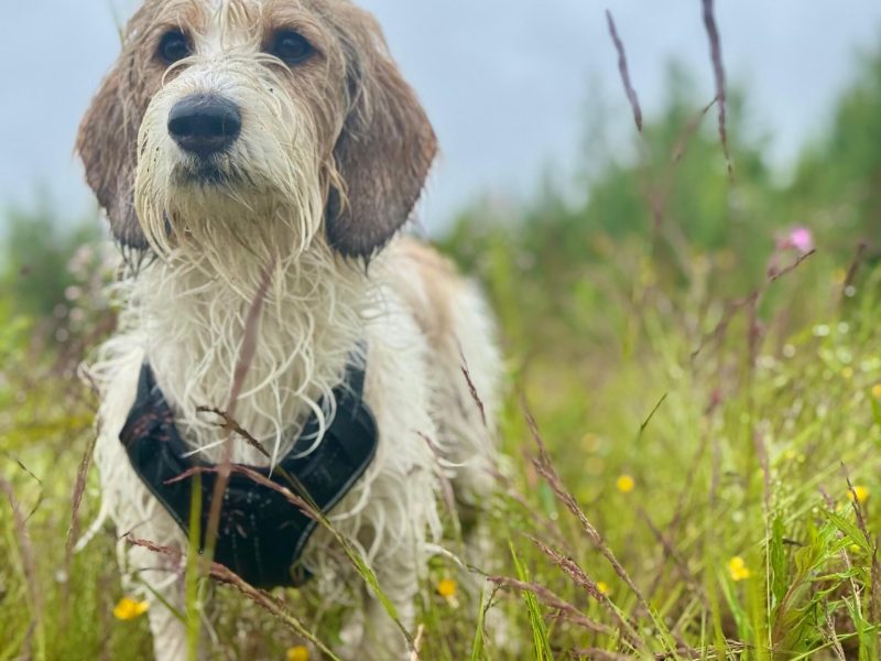 c06abe58-66a5-4c93-b8ca-c3486ccb57d0