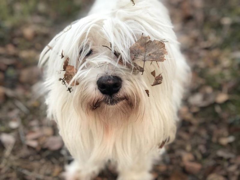 cd2c6bce-a56e-4015-8ca3-d72222f50e24